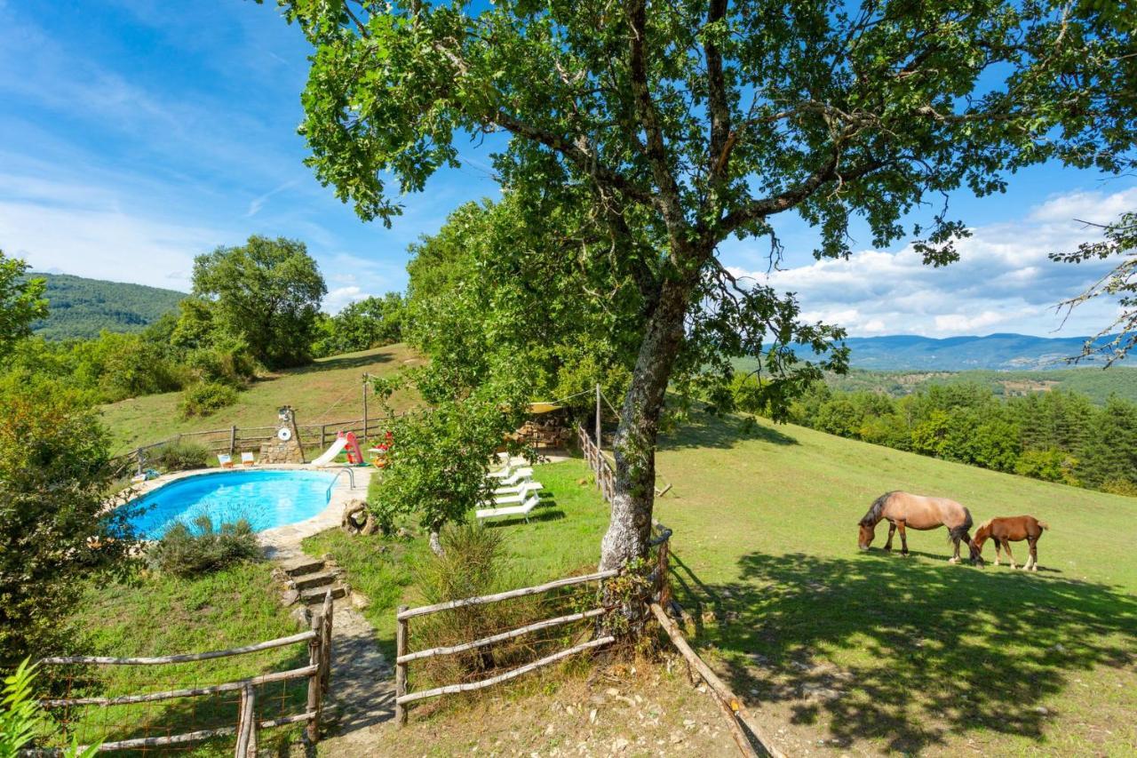 Villa Bellavista Arezzo Exteriör bild